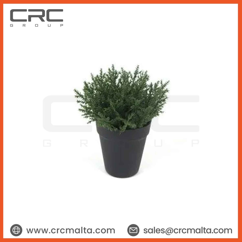 CRC Small Artificial Grass Plant TPM61281